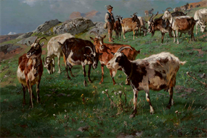 Image of Shepherd with Goats