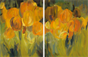 Image of Tulips